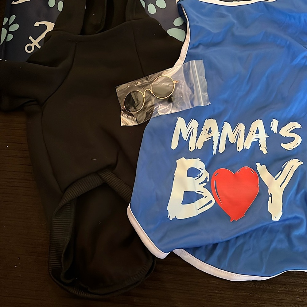 Small Dog Tank and Sweatshirt with small sunglasses